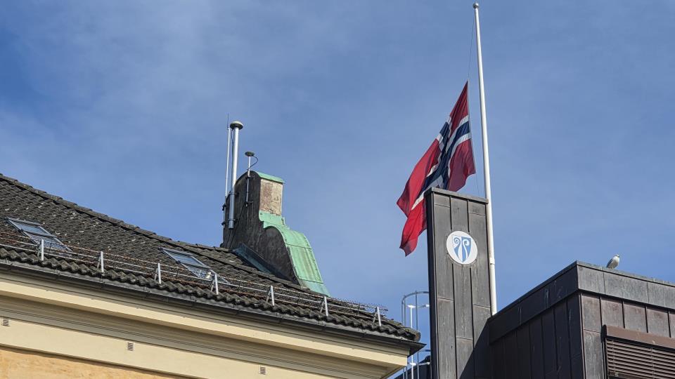 Lenke til artikkel: Flagging og markering frem til kong Haralds begravelse