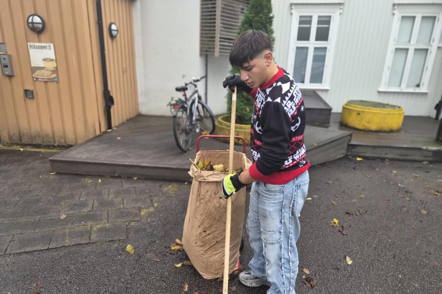 Lenke til artikkel: Tilbyr småjobber til ungdom