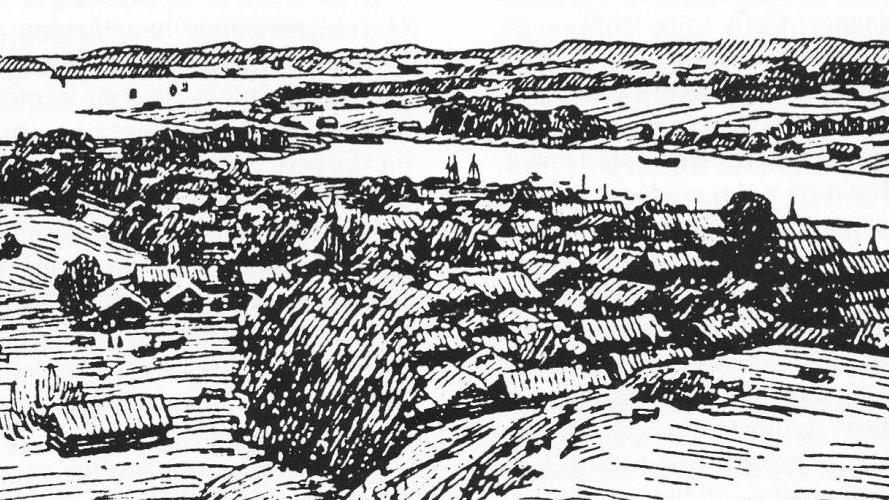 Lenke til artikkel: Vikingtid 750-1066