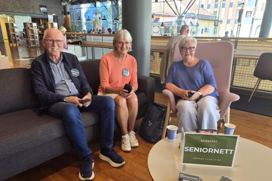 Lenke til artikkel: En-til-en-veiledning på biblioteket