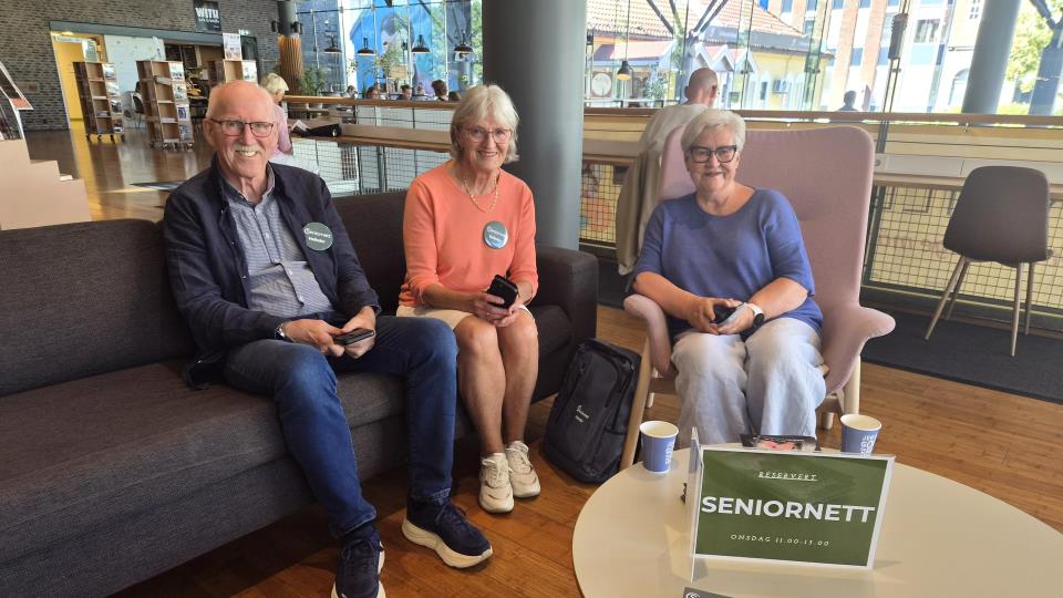 Lenke til artikkel: En-til-en-veiledning på biblioteket