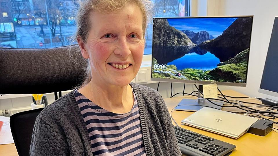 Lenke til artikkel: Skal aksjonere mot ulovlige leiligheter