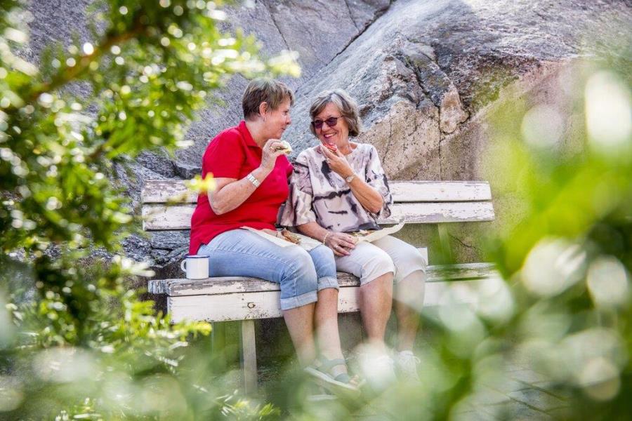 Lenke til artikkel: Velkommen til Aktivitetsvennkurs!