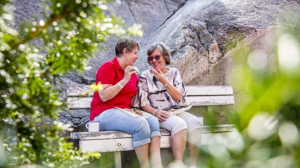 Lenke til artikkel: Velkommen til Aktivitetsvennkurs!