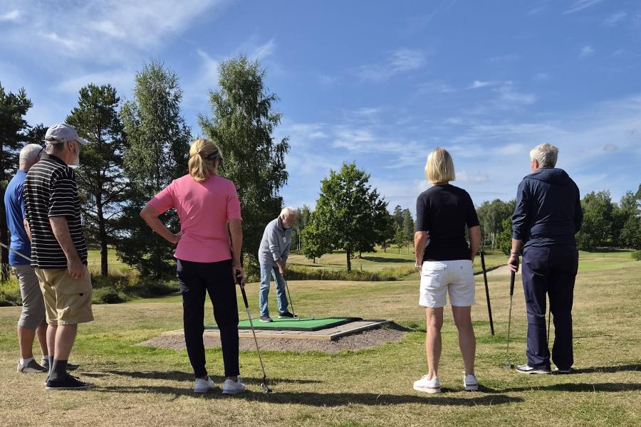 Lenke til artikkel: Mestring og glede på golfbanen