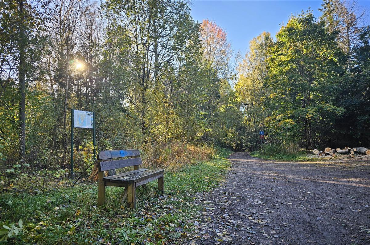 lysløypa i søndre slagen - Klikk for stort bilde