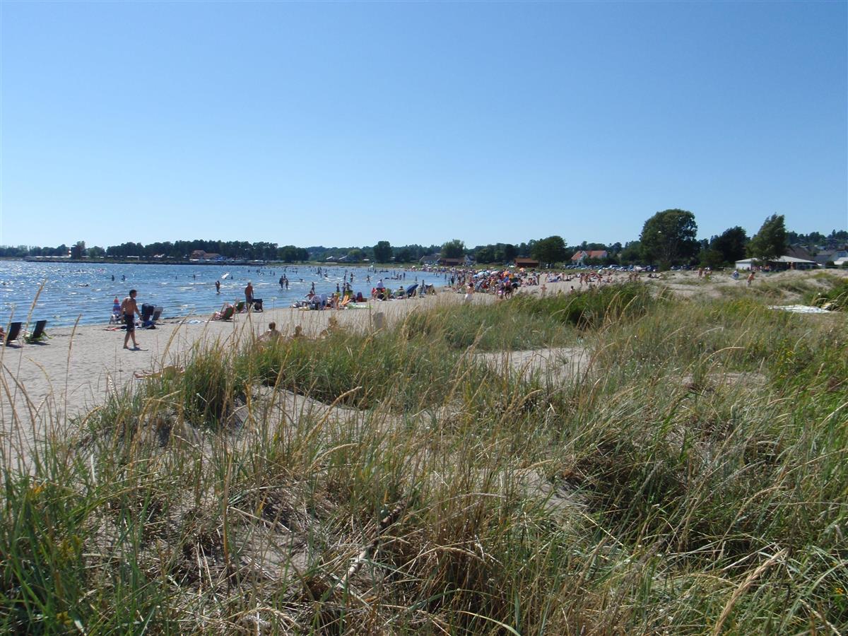Strand med sand og gress - Klikk for stort bilde