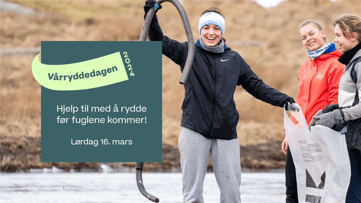 Tre ungdommer som rydder søppel. - Klikk for stort bilde