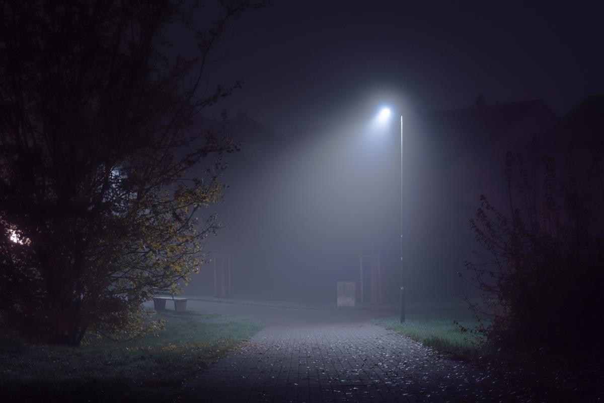 Bilde av lyktestolpe i mørk skog - Klikk for stort bilde