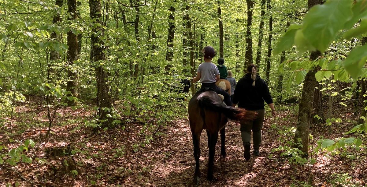 Et barn som rir på en hest i skogen, ledsaget av en fysioterapeut. - Klikk for stort bilde