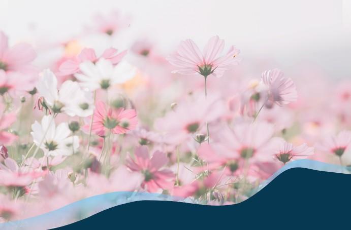 Rosa blomstereng - Klikk for stort bilde