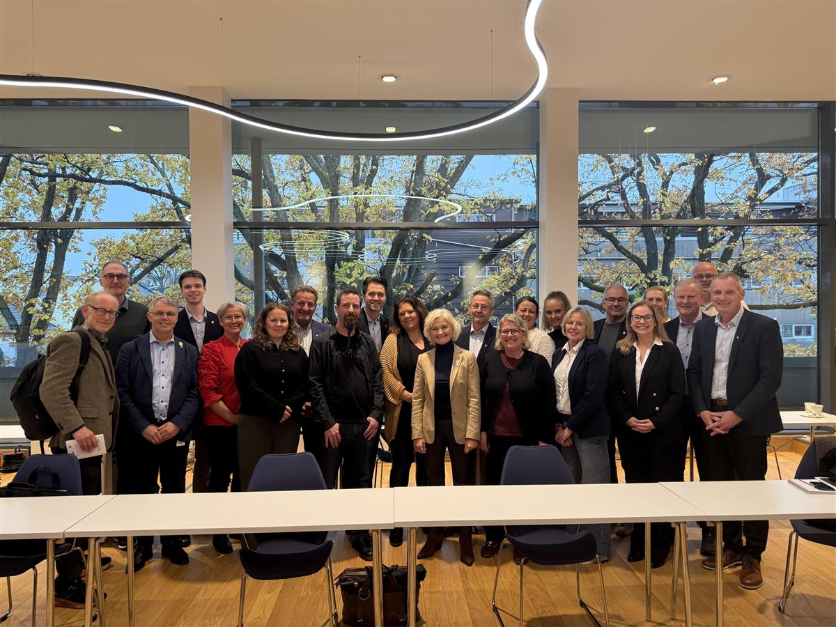 gruppebilde der  alle møtedeltakerne står sammen i flere rekker. - Klikk for stort bilde