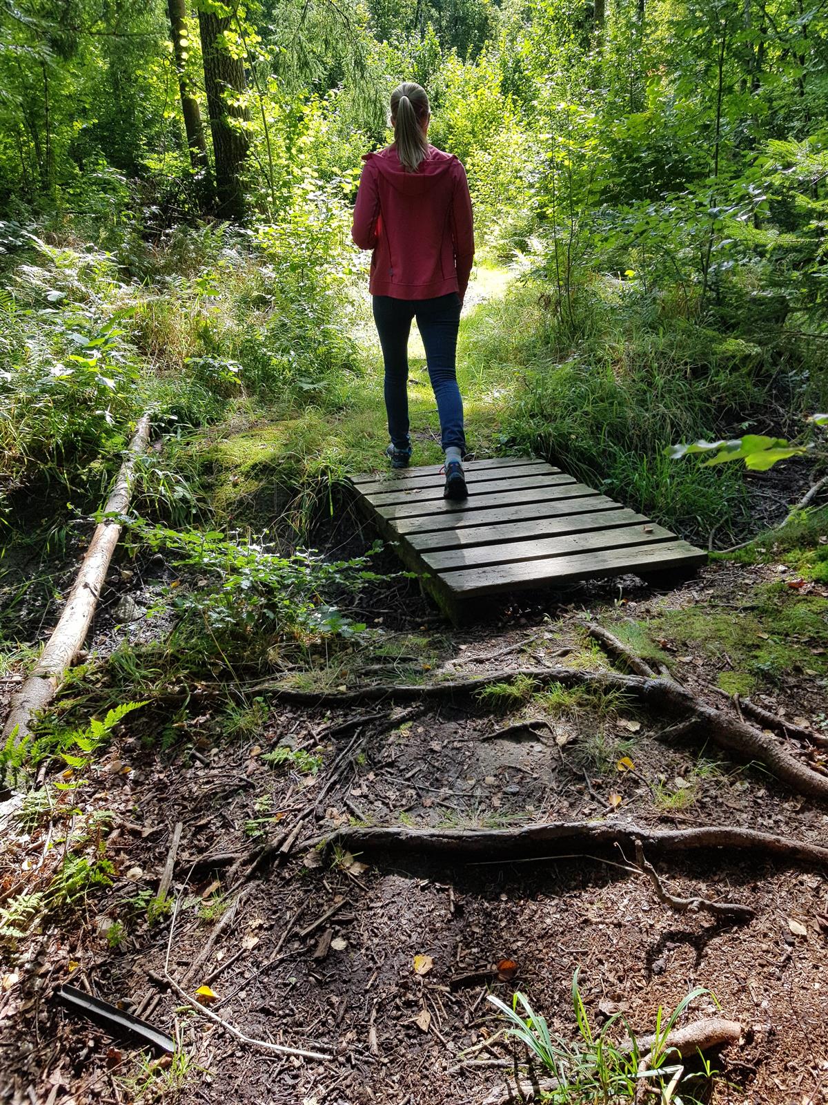 Klikk for stort bilde